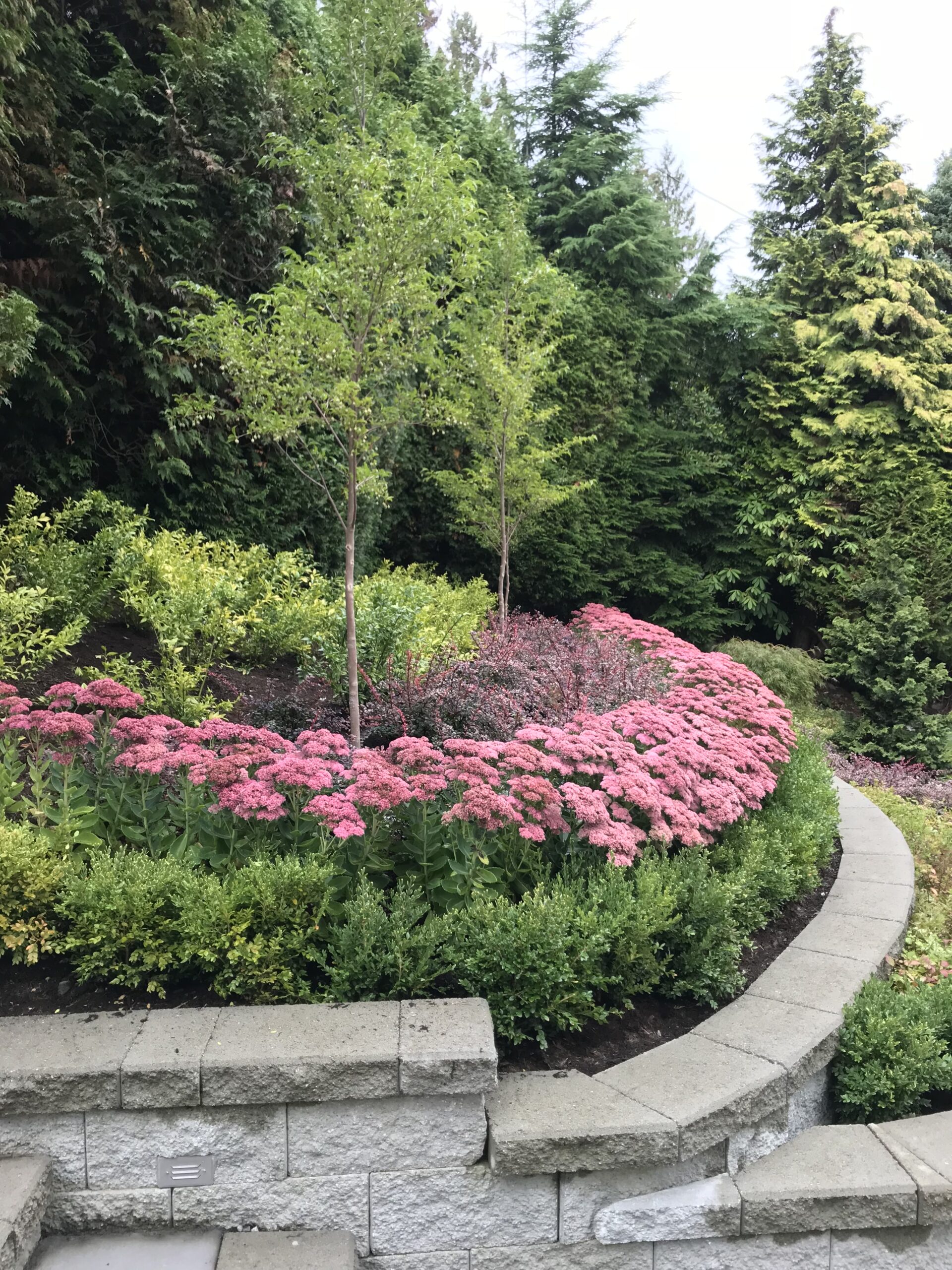 Gallery Mountain Side Landscaping